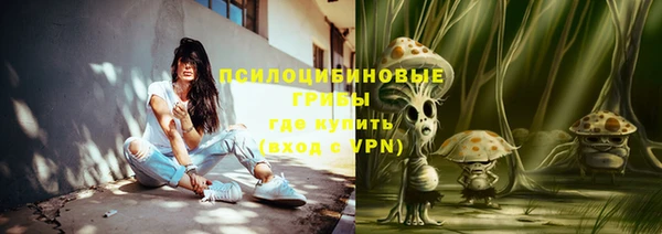 прущие грибы Абинск