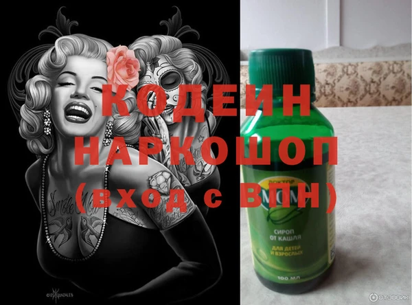 прущие грибы Абинск