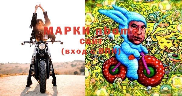 прущие грибы Абинск