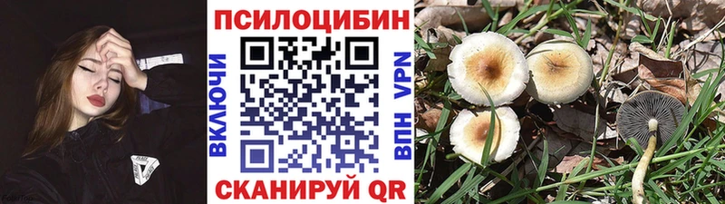 Псилоцибиновые грибы ЛСД  Талдом 